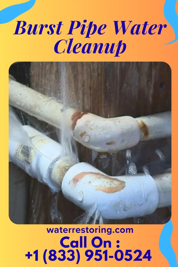 Burst Pipe Water Cleanup in Highland Hills, OH