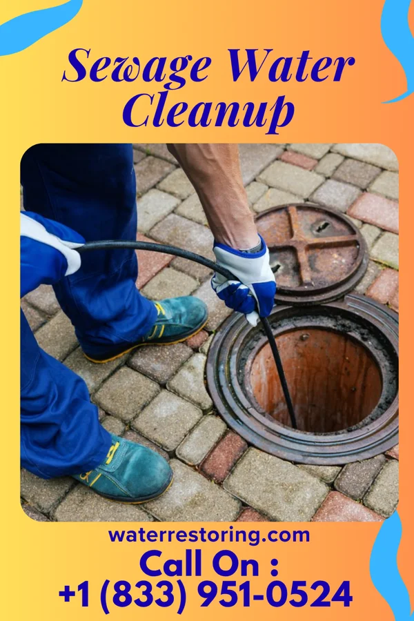 Sewage Water Cleanup in Highland Hills, OH