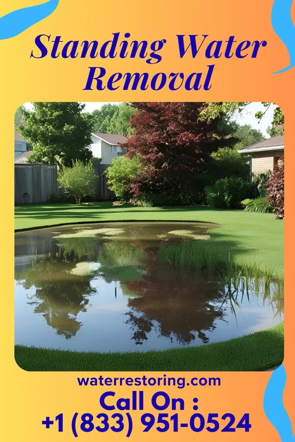 Standing Water Removal in Highland Hills, OH